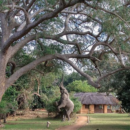 Track And Trail River Camp Kakumbi Exterior foto