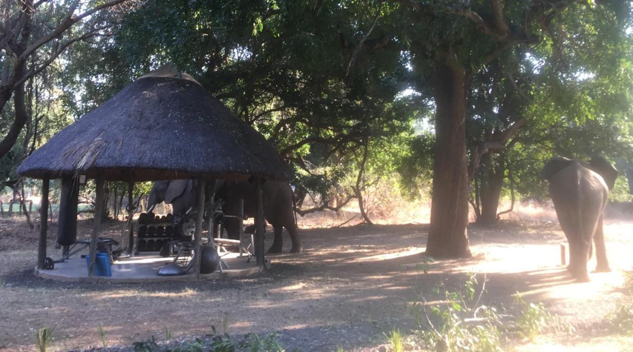 Track And Trail River Camp Kakumbi Exterior foto