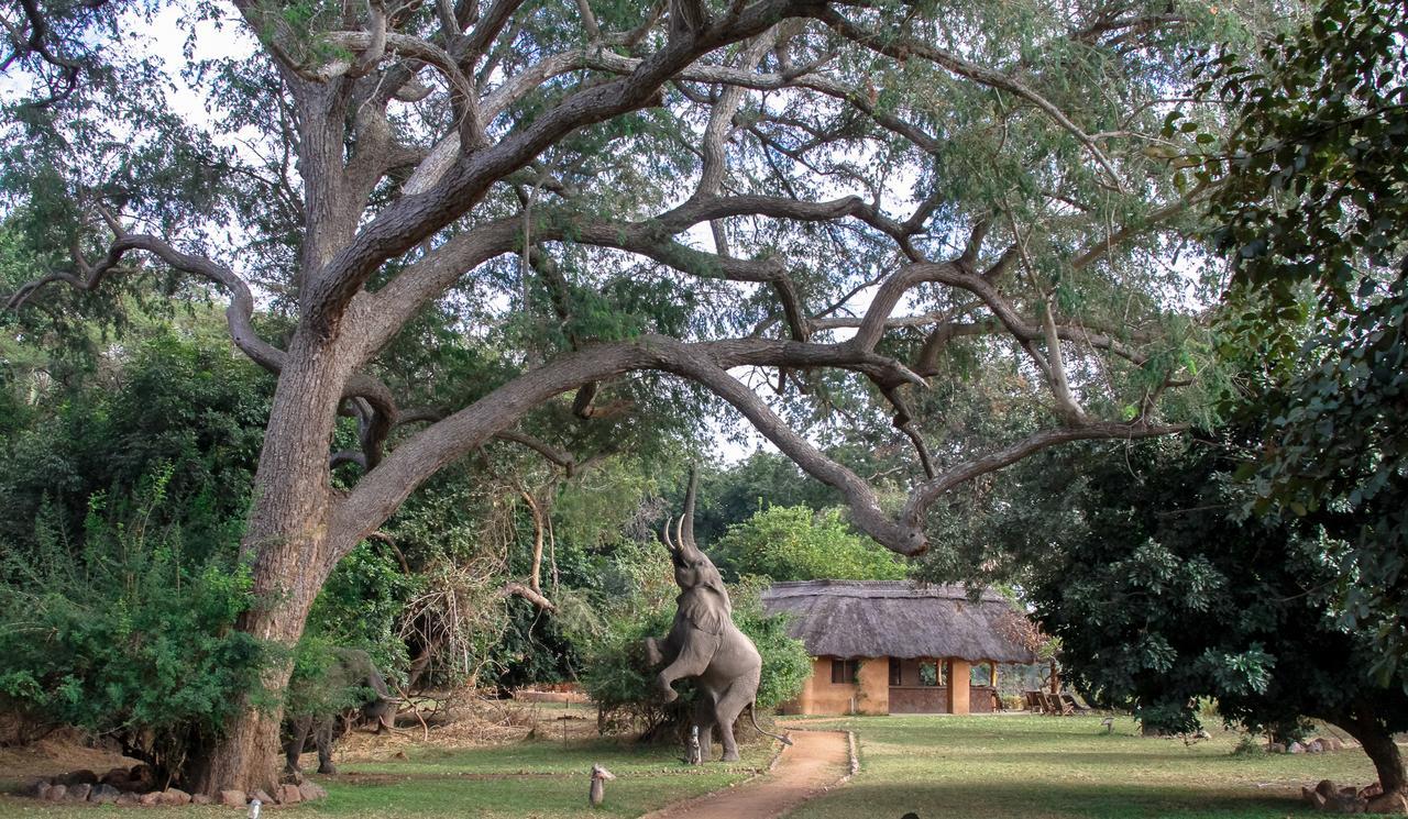 Track And Trail River Camp Kakumbi Exterior foto