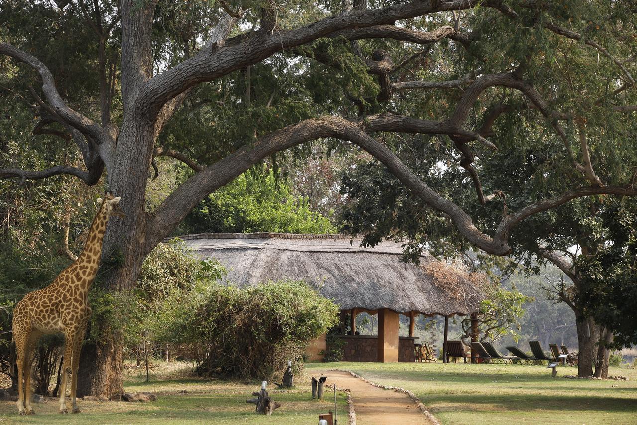 Track And Trail River Camp Kakumbi Exterior foto