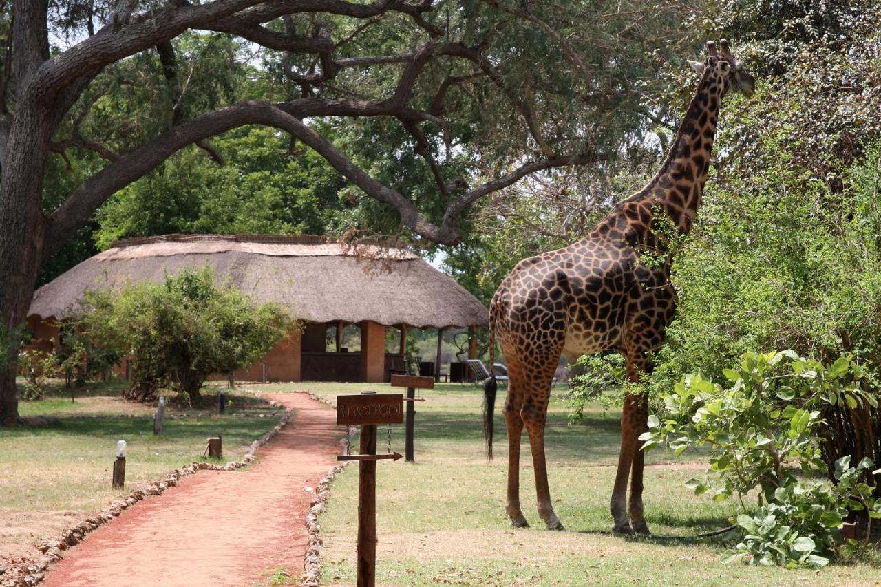 Track And Trail River Camp Kakumbi Exterior foto