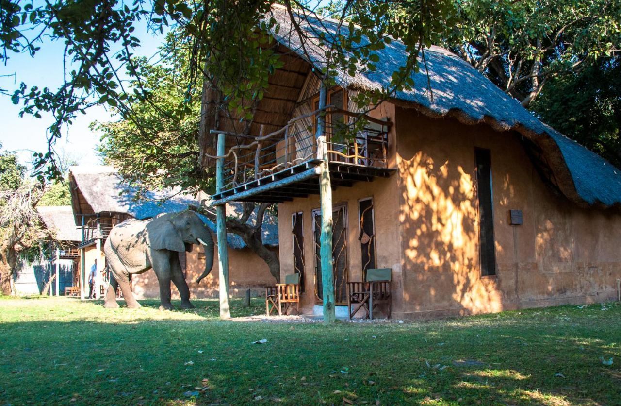 Track And Trail River Camp Kakumbi Exterior foto